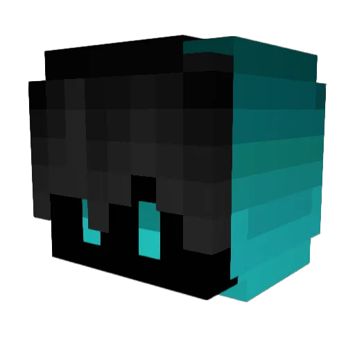 dundundun356 Minecraft avatar head, 3D render