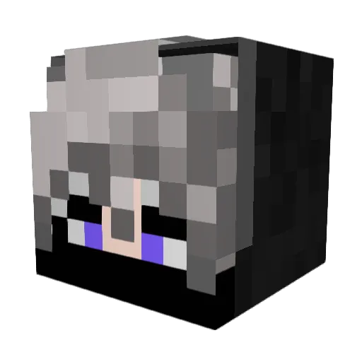 dunk4556 Minecraft avatar head, 3D render