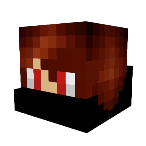 dunk7 Minecraft avatar head, 3D render