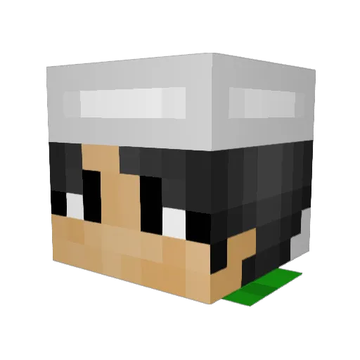 dunked18 Minecraft avatar head, 3D render