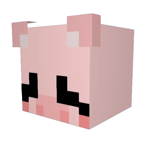 dunkleman_1031 Minecraft avatar head, 3D render