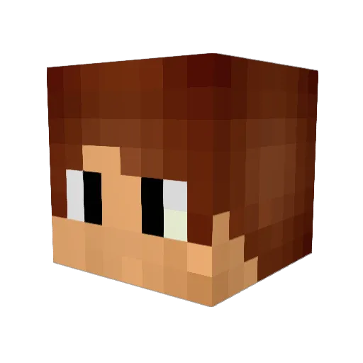 dunmovin Minecraft avatar head, 3D render