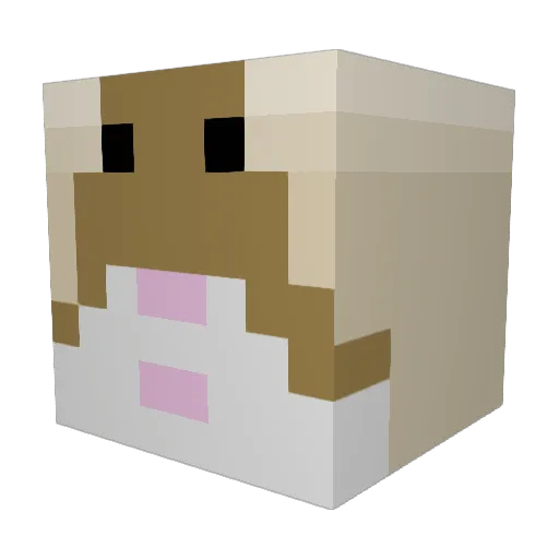 dunnis Minecraft avatar head, 3D render