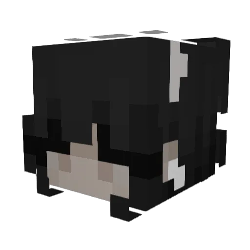 duo44_ Minecraft avatar head, 3D render