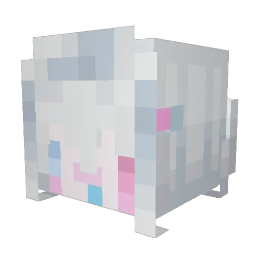 duoduo0730 Minecraft avatar head, 3D render