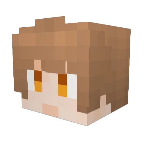 duoduo1234 Minecraft avatar head, 3D render
