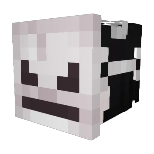 duora_hunter Minecraft avatar head, 3D render