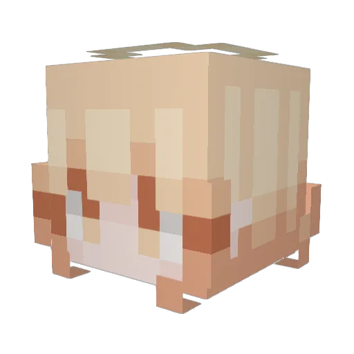 dupefever Minecraft avatar head, 3D render