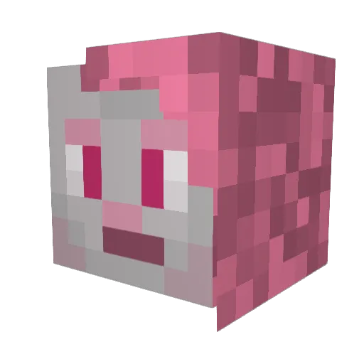 duquettes Minecraft avatar head, 3D render