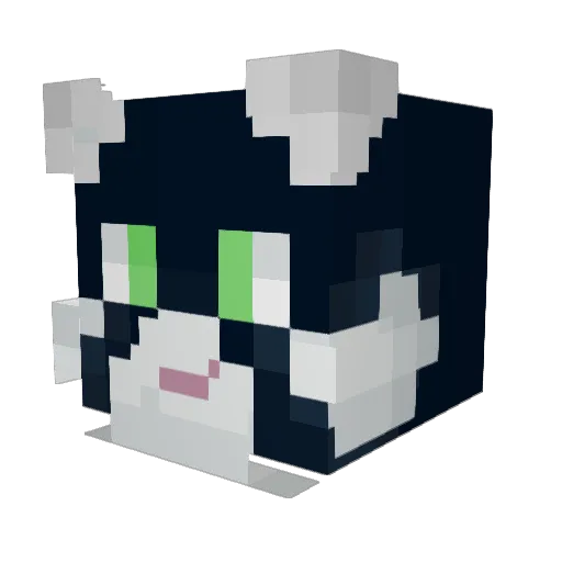 durantheman69 Minecraft avatar head, 3D render