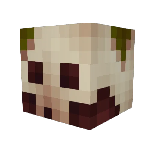 duriancake Minecraft avatar head, 3D render