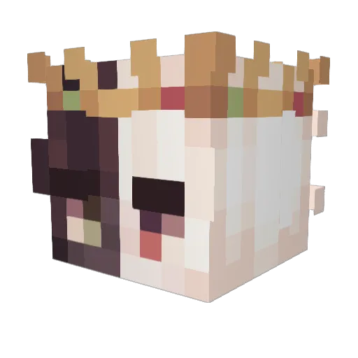 durinsfables Minecraft avatar head, 3D render