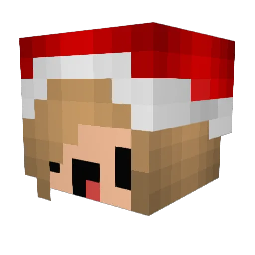 durpysmash Minecraft avatar head, 3D render