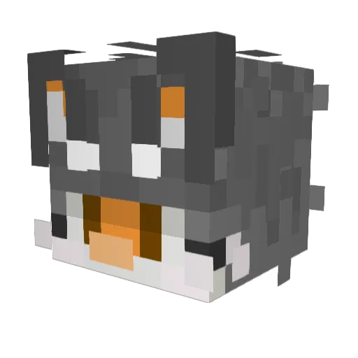 dusifish Minecraft avatar head, 3D render