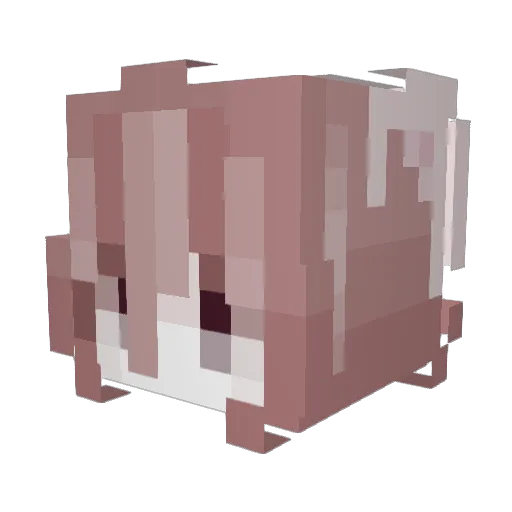 dusiieels_ Minecraft avatar head, 3D render