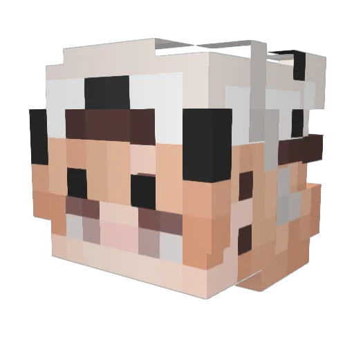dusir Minecraft avatar head, 3D render