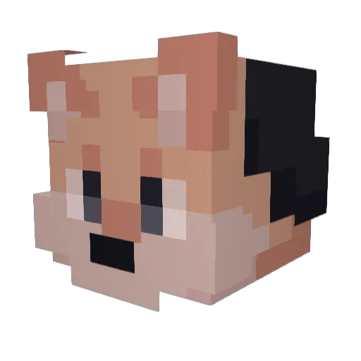 dusk271 Minecraft avatar head, 3D render