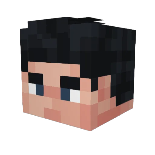 dusktiljohn Minecraft avatar head, 3D render