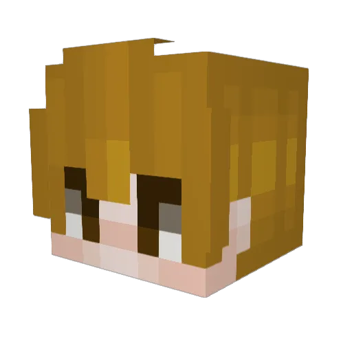 duskullxoxo Minecraft avatar head, 3D render