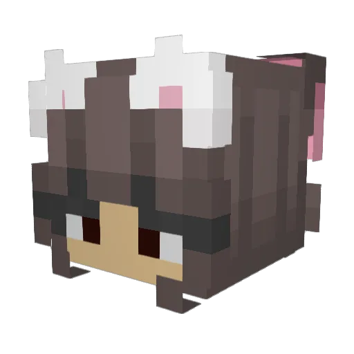 dusstier Minecraft avatar head, 3D render