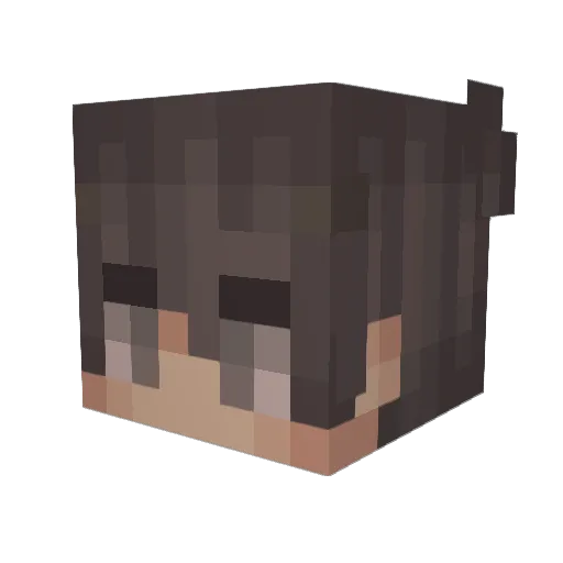 dust04 Minecraft avatar head, 3D render