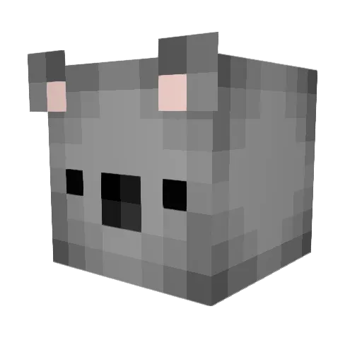 dust_VLR Minecraft avatar head, 3D render