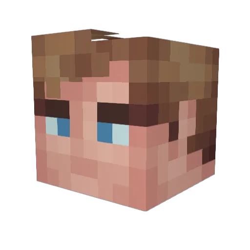 dustbunny22 Minecraft avatar head, 3D render