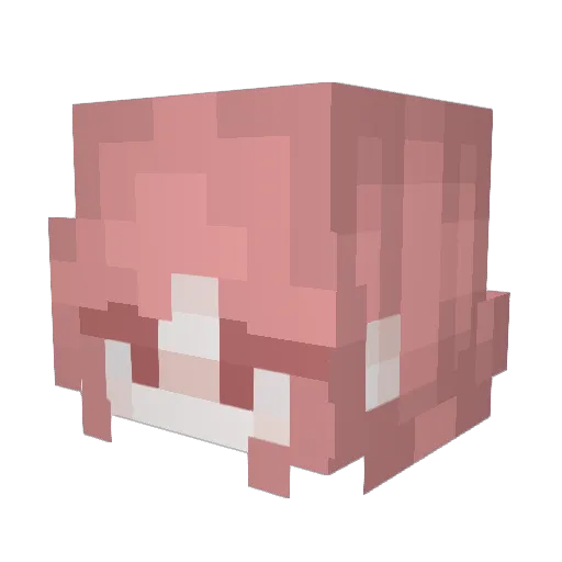 dusterskies Minecraft avatar head, 3D render