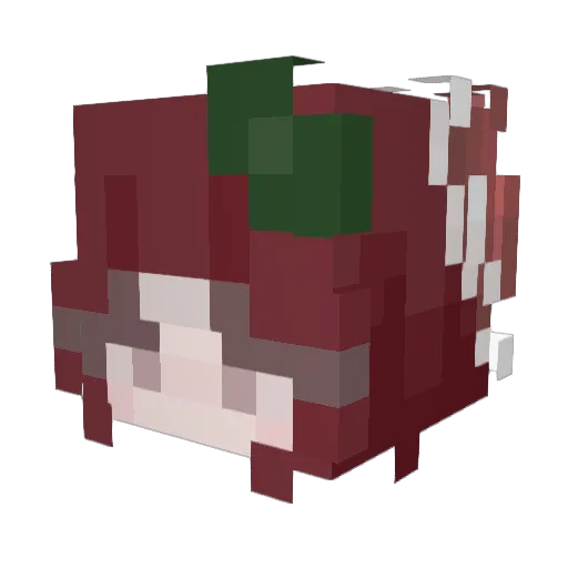 dusth0707 Minecraft avatar head, 3D render