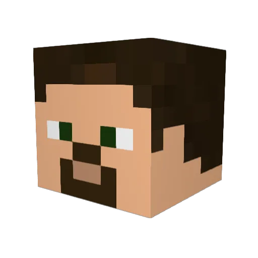 dustinhtc123 Minecraft avatar head, 3D render