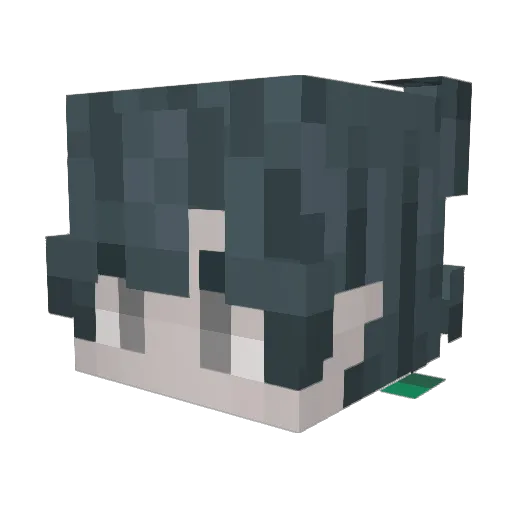 dustiu Minecraft avatar head, 3D render