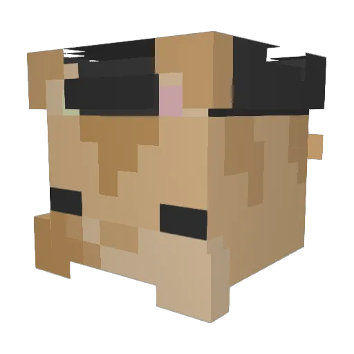 dustramedy Minecraft avatar head, 3D render