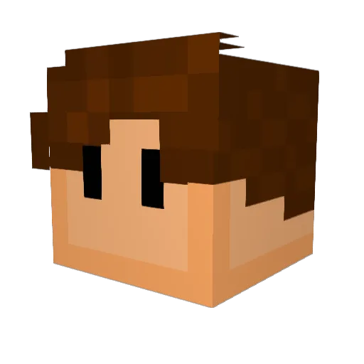 dustructor112 Minecraft avatar head, 3D render