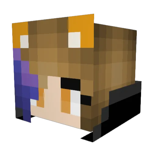 dusty5555 Minecraft avatar head, 3D render