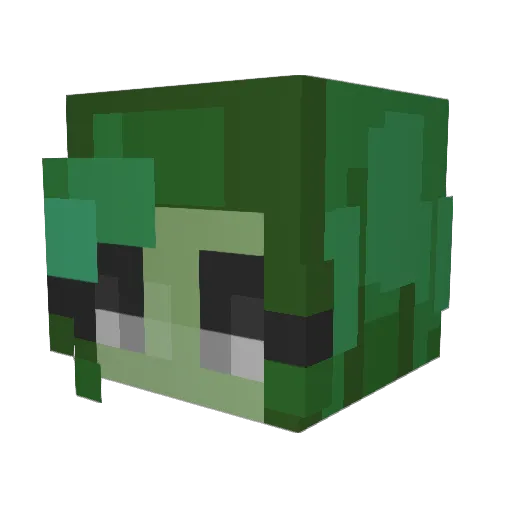 dustycake2 Minecraft avatar head, 3D render