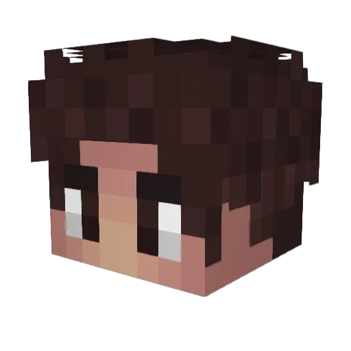 dustydrust Minecraft avatar head, 3D render