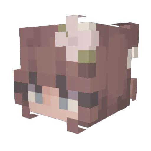 dustyskengs Minecraft avatar head, 3D render