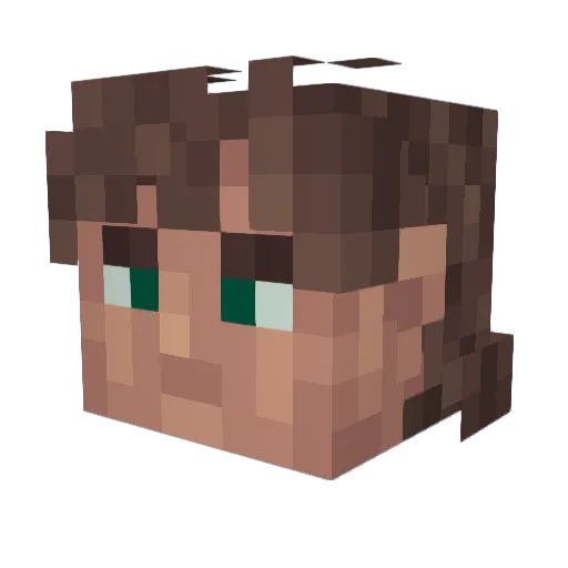 dutchwarriors Minecraft avatar head, 3D render