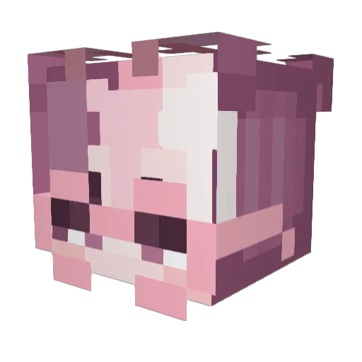 duvalinswirl Minecraft avatar head, 3D render