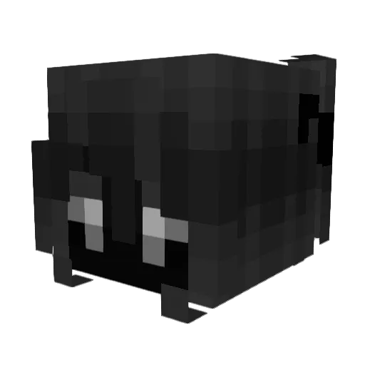 duvet69 Minecraft avatar head, 3D render
