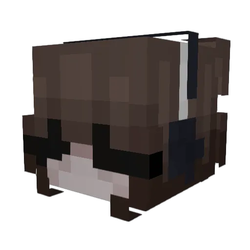 duvvi Minecraft avatar head, 3D render