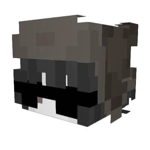 duwchien Minecraft avatar head, 3D render