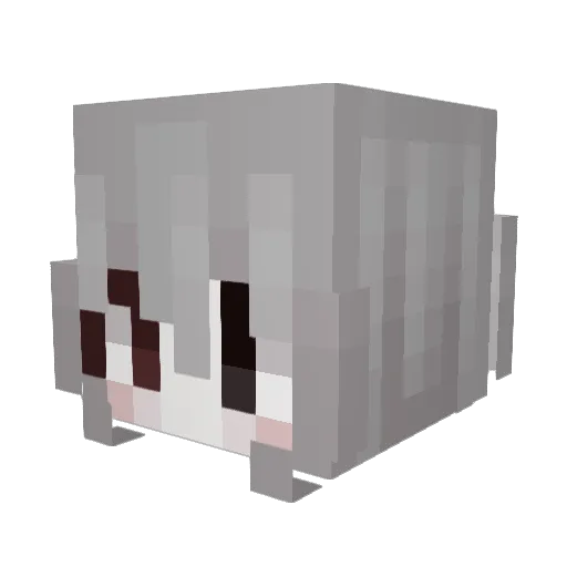 duwet Minecraft avatar head, 3D render
