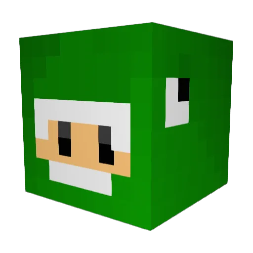 duxbury Minecraft avatar head, 3D render