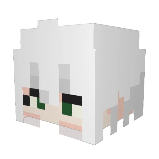 duzi432 Minecraft avatar head, 3D render