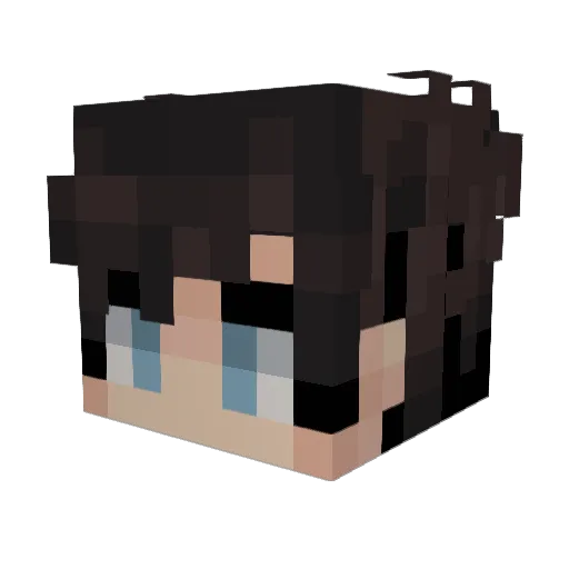 dv3s4 Minecraft avatar head, 3D render