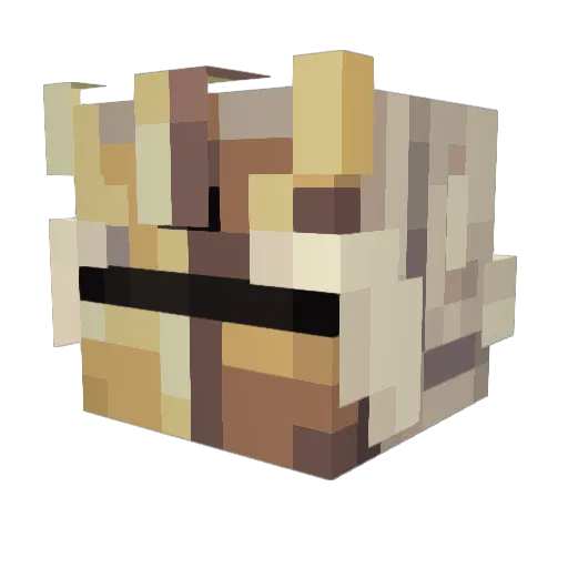 dvd_bgdn Minecraft avatar head, 3D render