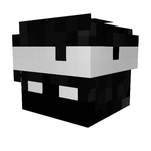 dvd_mrn Minecraft avatar head, 3D render