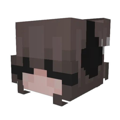 dvlilah Minecraft avatar head, 3D render