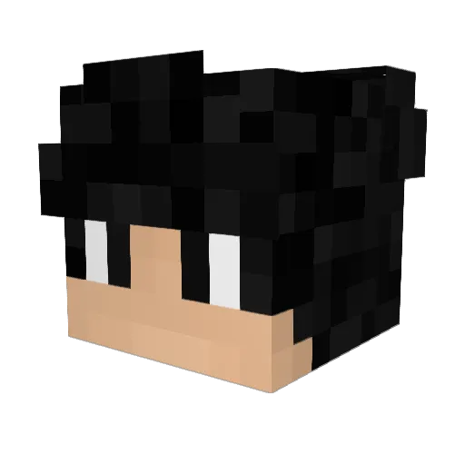 dvm28bp Minecraft avatar head, 3D render